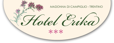 Hotel Erika Madonna di Campiglio