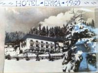 hotel erika 1960